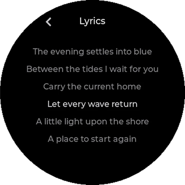Timed lyrics with the current line lit